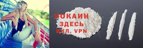 эйфоретик Гусев