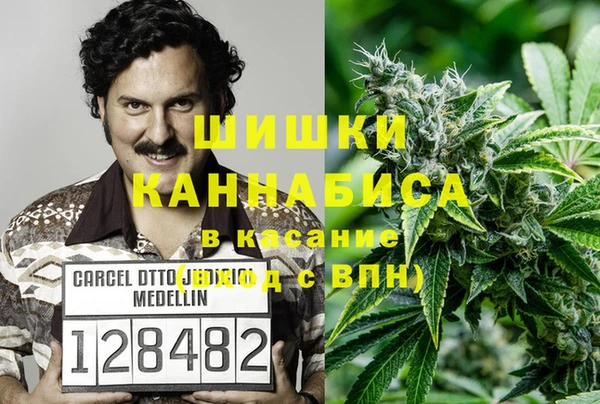 эйфоретик Гусев