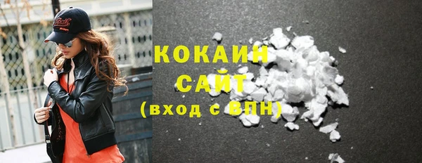 эйфоретик Гусев