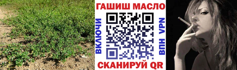 Купить Чекалин Дистиллят ТГК Wax
