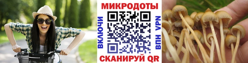 Псилоцибиновые грибы Magic Shrooms  Купить закладки  Чекалин 
